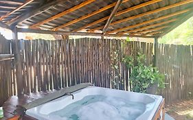Marloth Wild Fig Studio